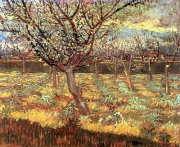 Vincent Van Gogh Painting - Apricot Trees in Blossom Vincent van Gogh